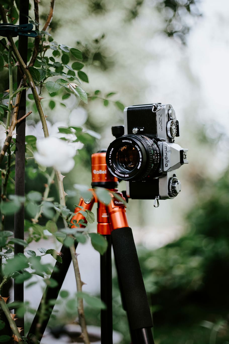 selective focus photography of mirrorless camera on top tripod on outdoors, HD wallpaper