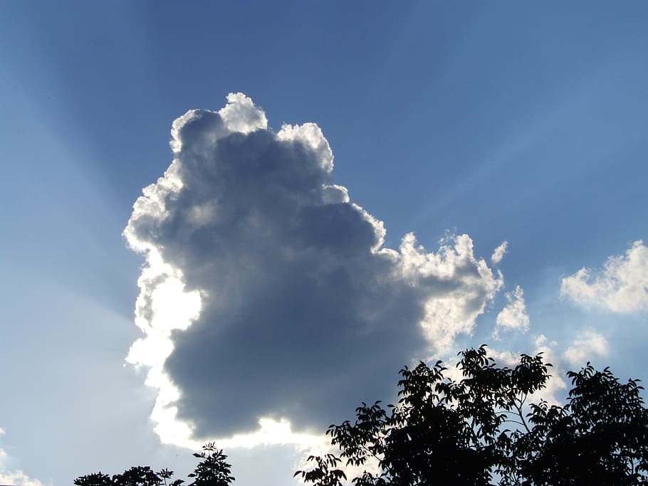 cloud, day s, sky, cloud - sky, low angle view, tree, beauty in nature HD wallpaper