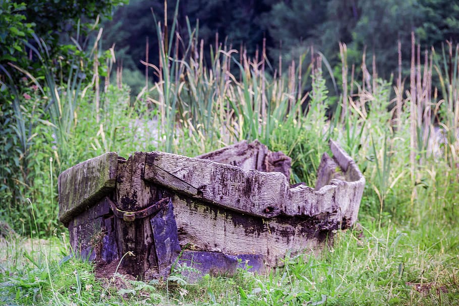 wooden boat surrounded by grass, old boat, rotten boat, rowing boat, HD wallpaper