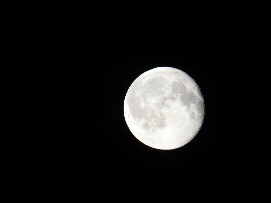 moon, night, space, full moon, darkness, heavenly body, summer HD wallpaper