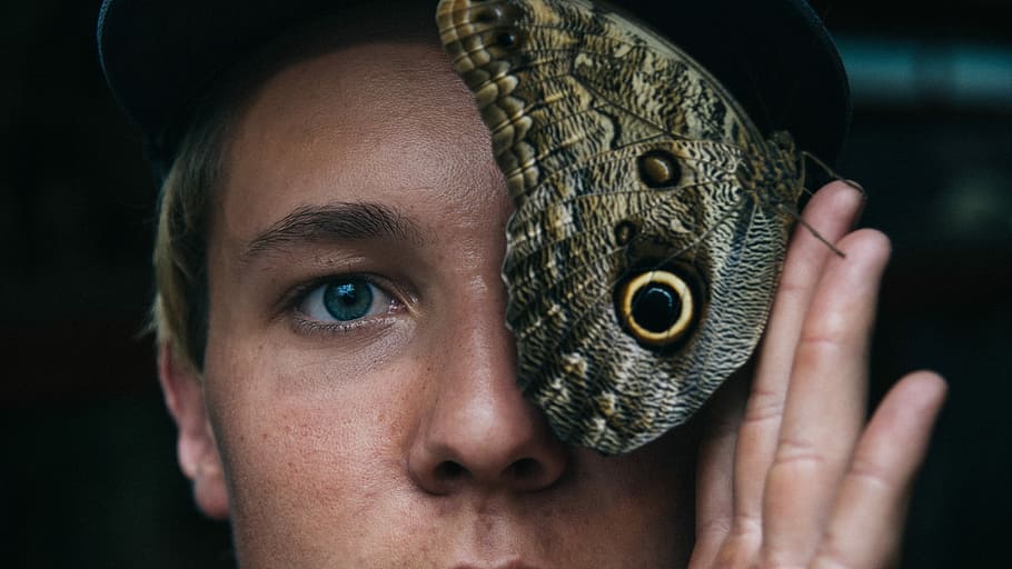 shallow focus of man, person holding butterfly near his face HD wallpaper