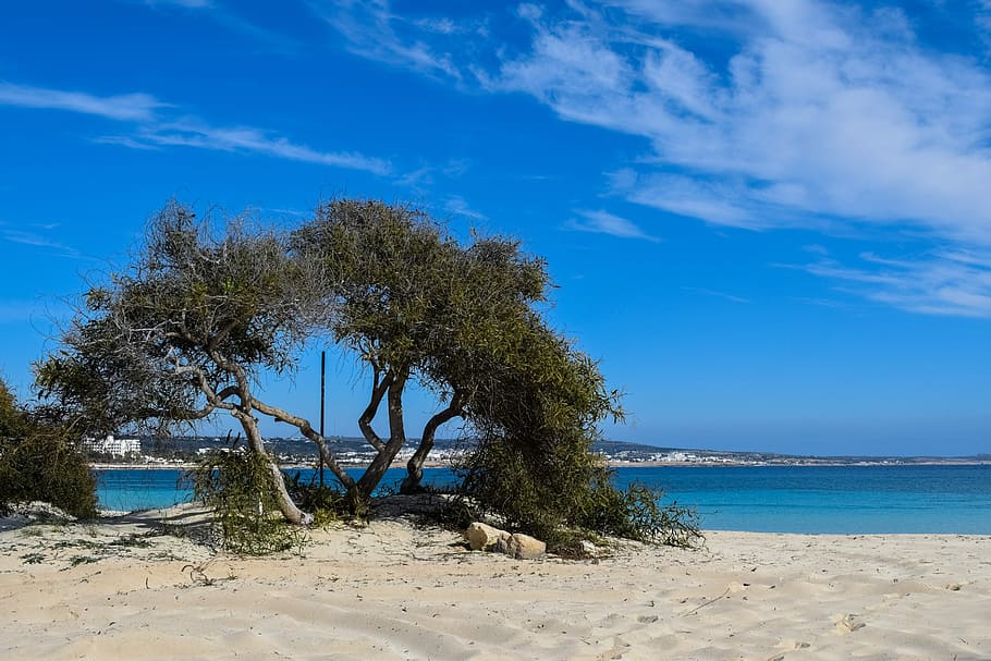 Tree, Beach, Sand, Blue, Island, Scenery, sky, clouds, makronissos beach HD wallpaper