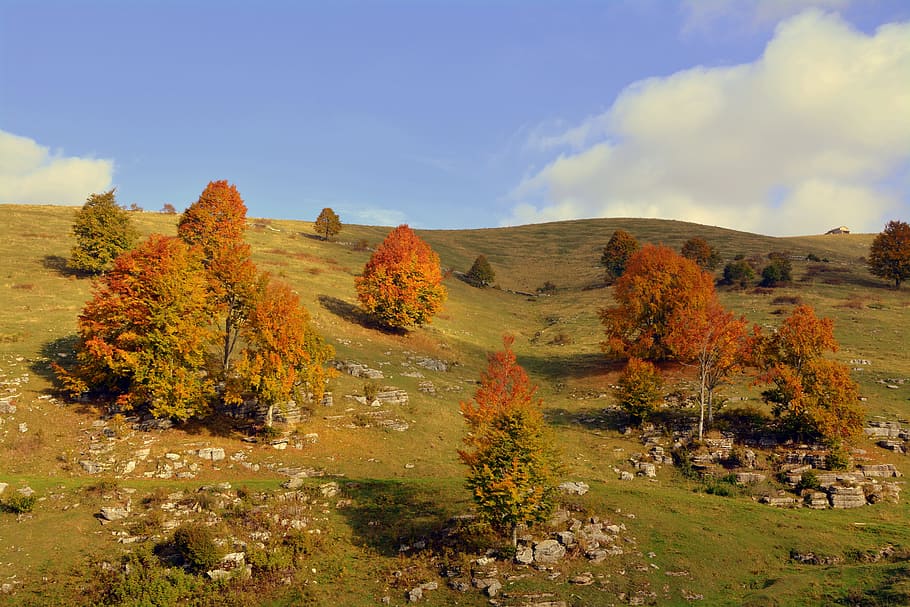 excursion, trees, autumn, trail, mountain, the european path HD wallpaper