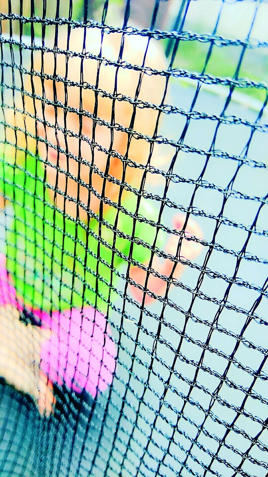 template, abstract, bright, creativity, color, art, nature HD wallpaper