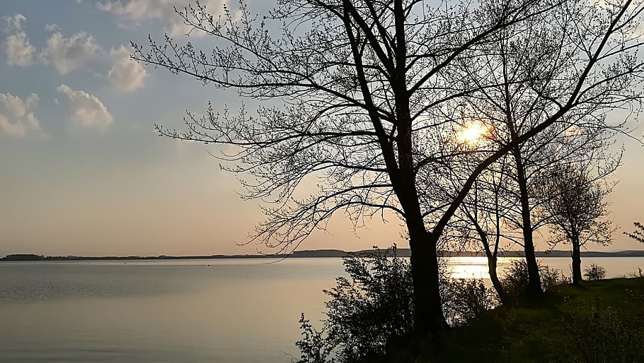 sunset, dam, water, trees, sky, beauty in nature, tranquility HD wallpaper