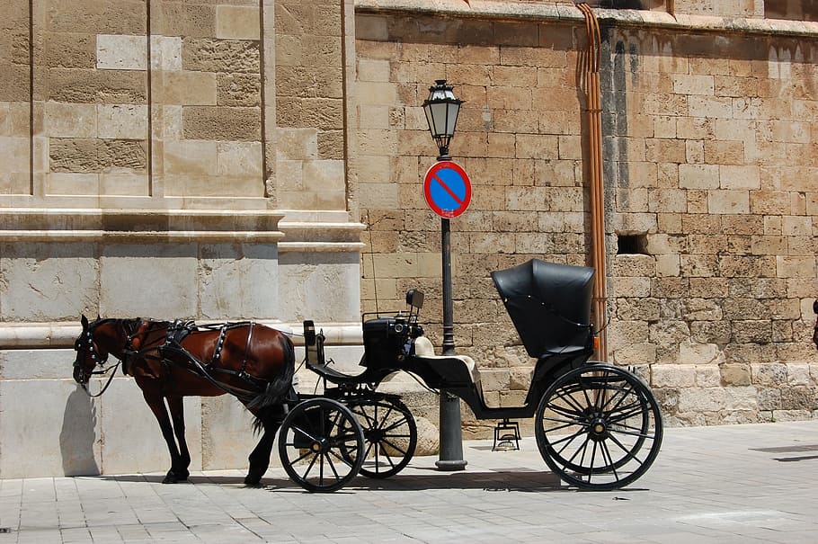 Coach, Horse Drawn Carriage, lantern, no parking, palma de mallorca, HD wallpaper