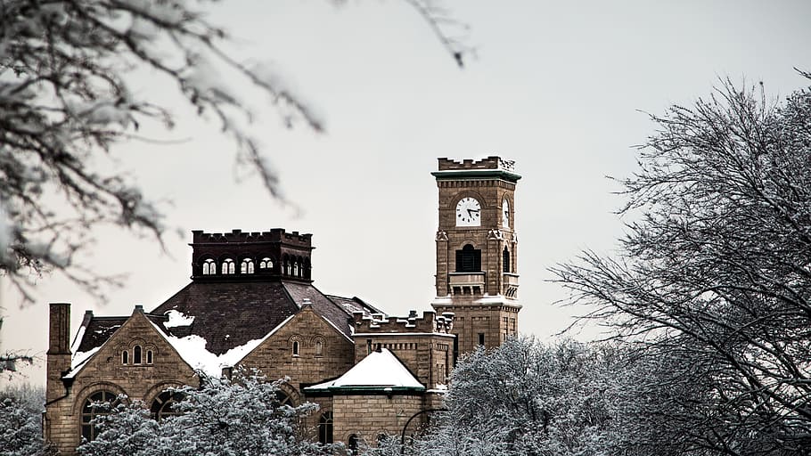 building, structure, architecture, clock, snow, winter, tree HD wallpaper