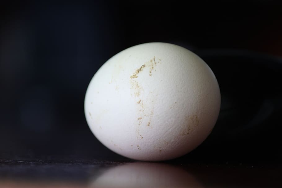 egg, chicken eggs, white, -range chicken eggs, food and drink HD wallpaper