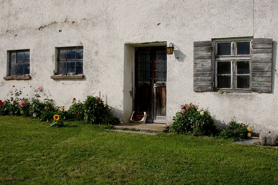 farm, door, window, install window, flowers, old, input, rustic HD wallpaper