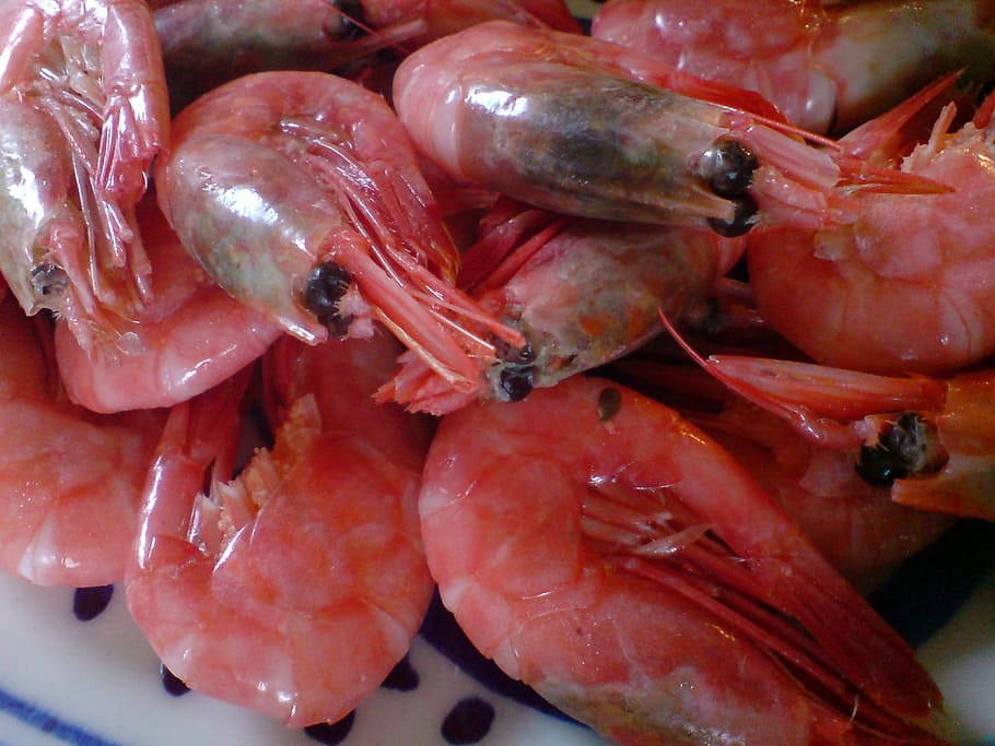 Shrimp, Seafood, Plate, side plate, food and drink, no people HD wallpaper