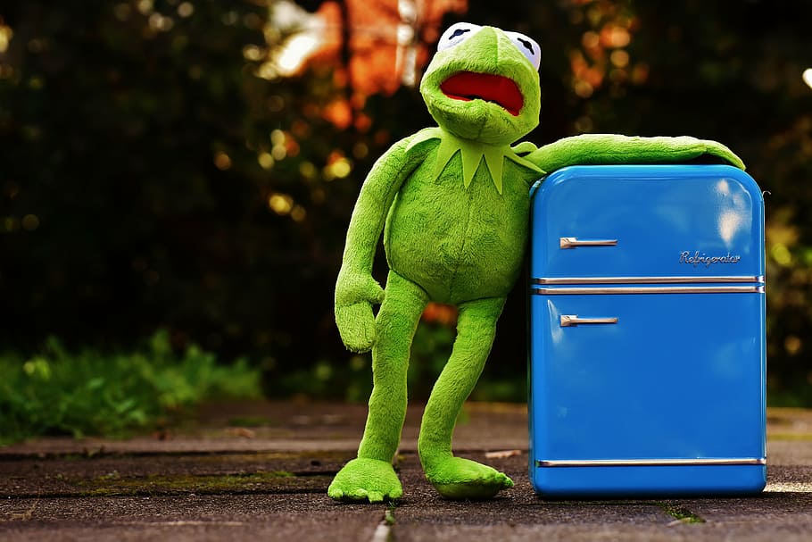 kermit, frog, refrigerator, funny, retro, green, toys, soft toy HD wallpaper