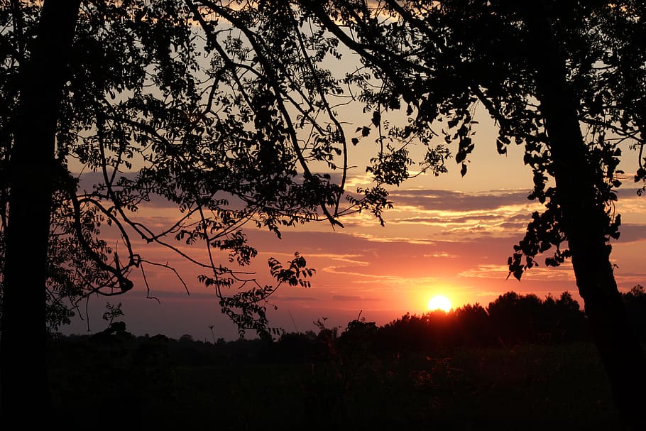 evening, sunset, sky, nature, clouds, sunset sky, landscape HD wallpaper