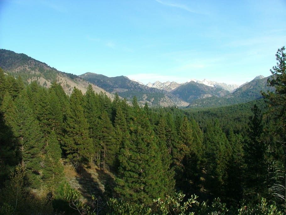 mountain, range, view, scenic, forest, idaho, sawtooth, beauty in nature HD wallpaper