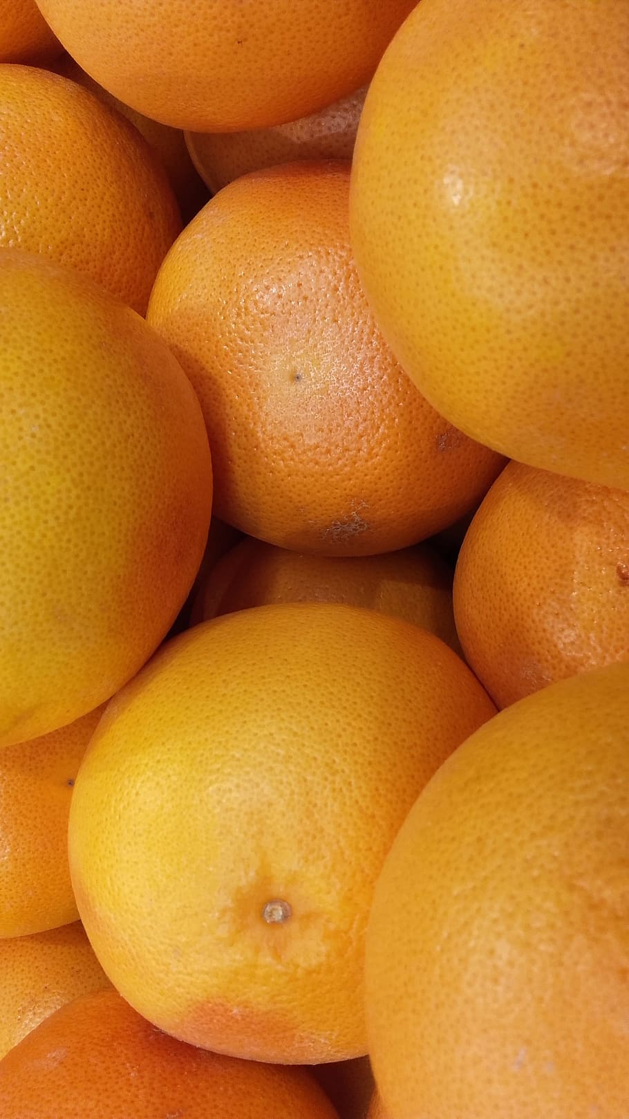 Grapefruit, Tropical, Lean, tropical fruit, citrus, orange HD wallpaper