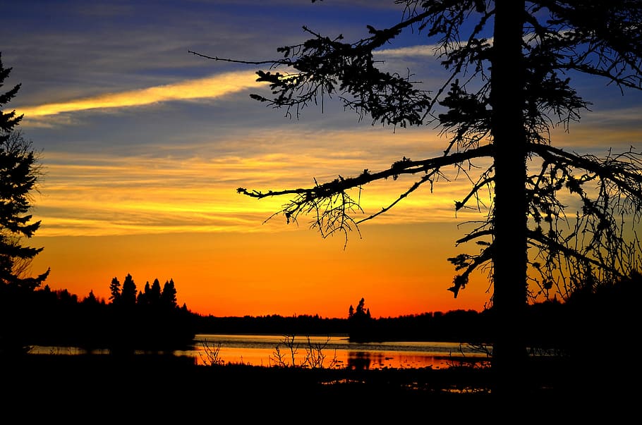 landscape, tree, nature, summer, sunset, lake, silhouette, reflection HD wallpaper