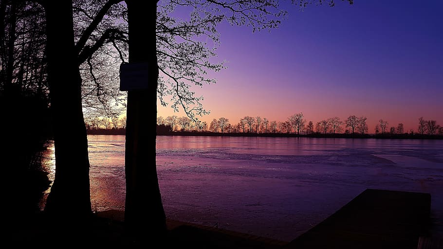 body of water near trees landscape photographh, twilight, lake HD wallpaper