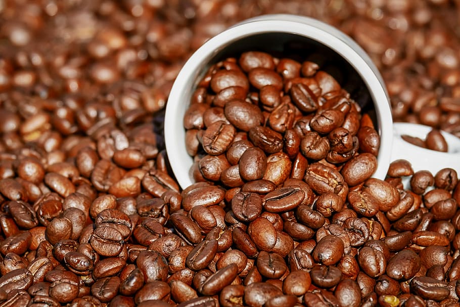 white ceramic mug on coffee beans, coffee cup, benefit from HD wallpaper