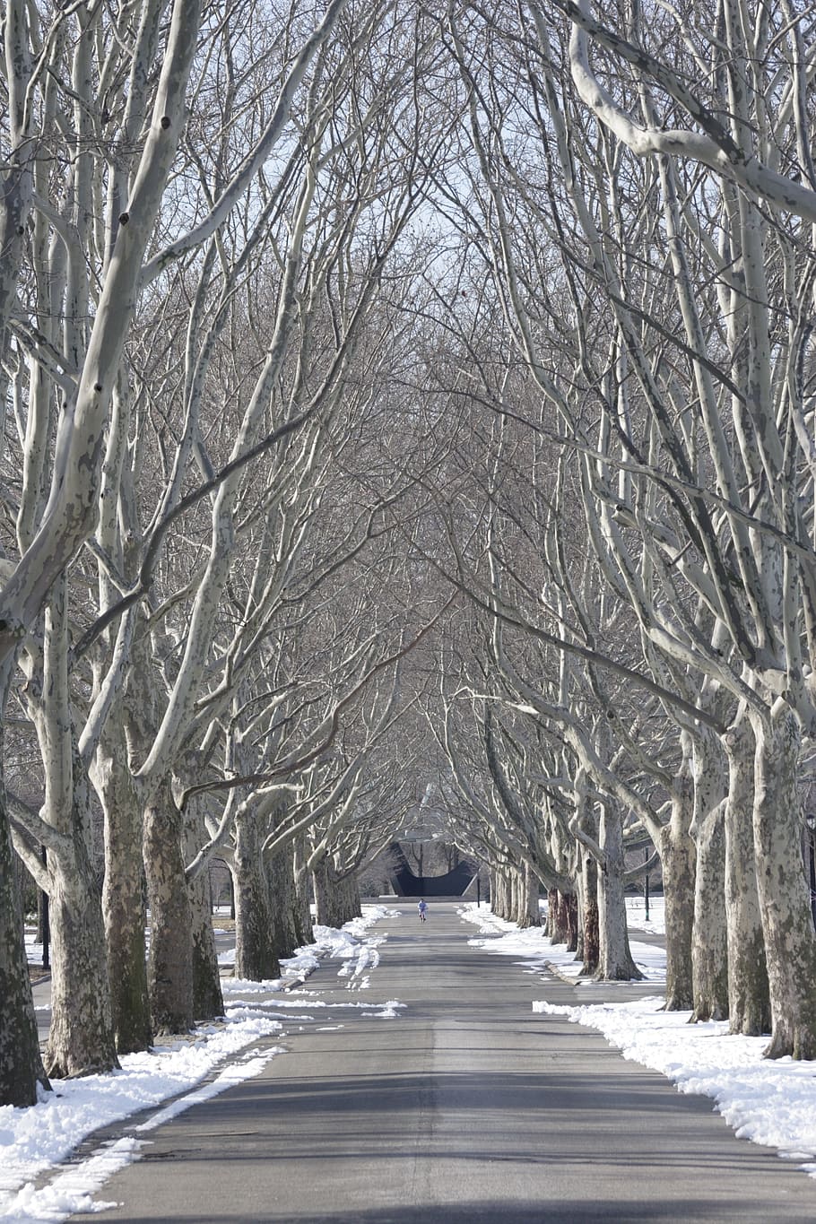tree lined, flushing meadow park, snow, new york city, queens, HD wallpaper