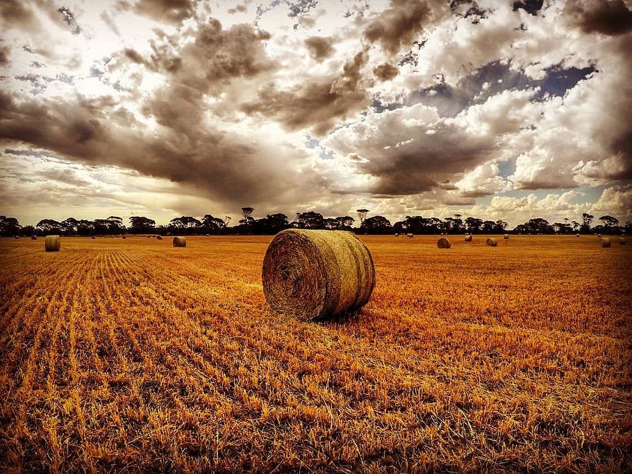 farm, haystack, nature, field, landscape, cloud - sky, agriculture HD wallpaper