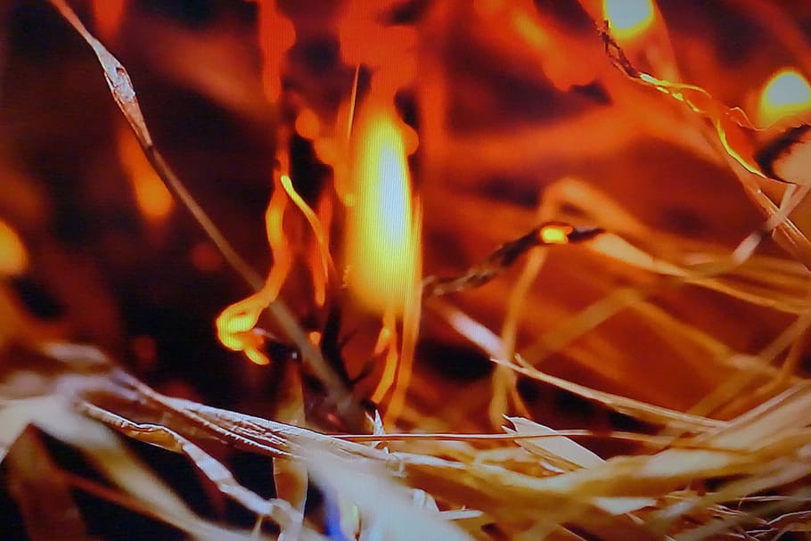 Fire, Red, Ho, Danger, Burn, Energy, hot, yellow, warm, flame HD wallpaper