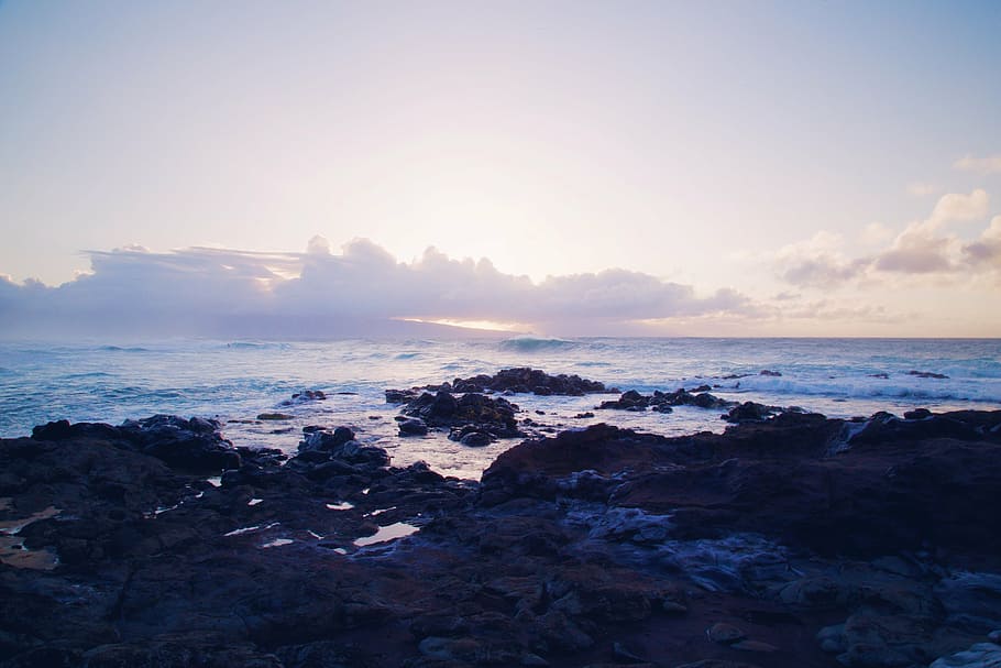 seashore under white sky, photo, body, water, golden, hour HD wallpaper