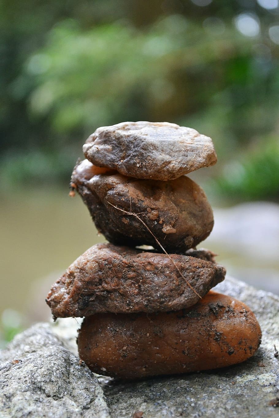 rock, rocks, river, rocks river, nature, sri lanka, ceylon HD wallpaper