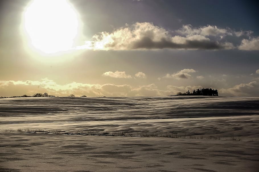sun, winter, snow, nature, frost, sky, back light, blue, cold HD wallpaper