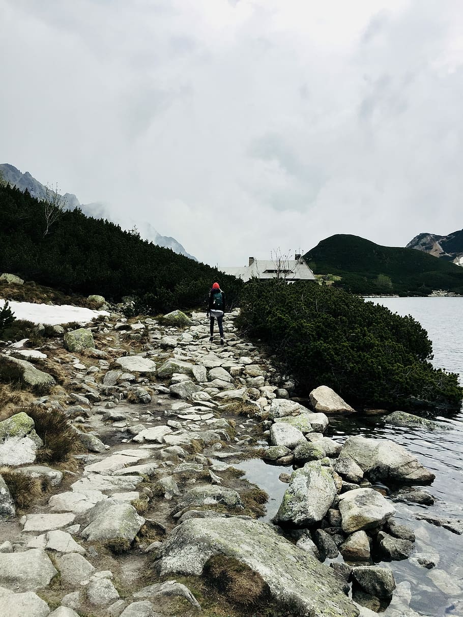 person standing on rocks near bushes, person standing on stone near body of water HD wallpaper