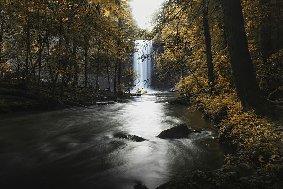 waterfall surrounded by trees, waterfall and forest, long exposure