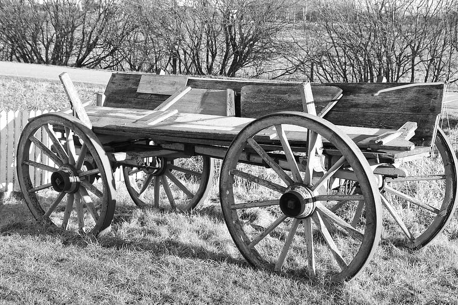 wagon, old, black white, old days, wheels, field, land, tree HD wallpaper
