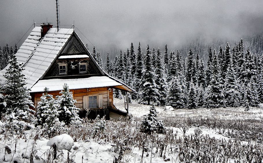 white and brown wooden house, winter, cabin, mountain, snow, cold