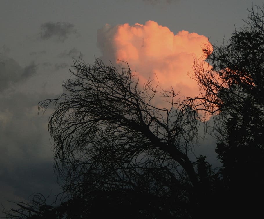 clouds, dense, round, sunset, orange-pink, bright, glow, light HD wallpaper