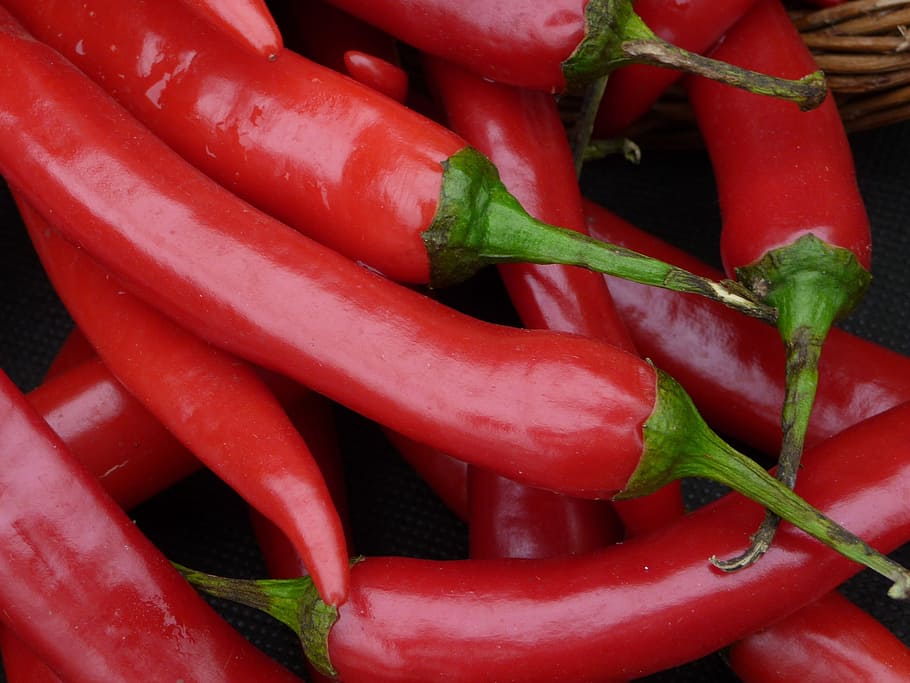 red chili lot, chilli, peppers, red chilli, green stalks, vegetable, HD wallpaper