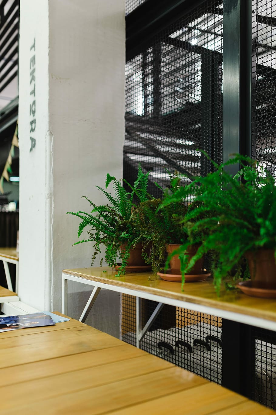 Plants in flowerpots on an exhibition, exposition, modern, indoors HD wallpaper