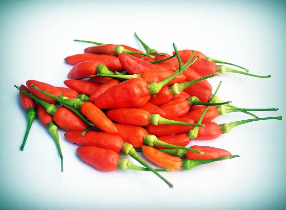 Chilli, Pepper, Red, Hot, Chili, Paprika, green, white, mexico HD wallpaper