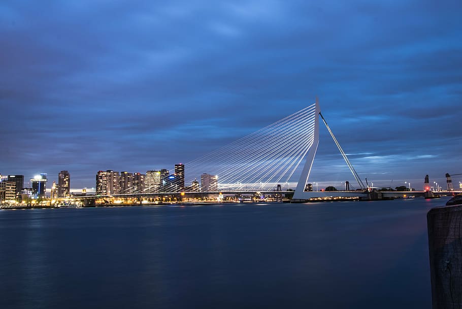 rotterdam, reflection, harbor, night, water, holland, architecture, HD wallpaper
