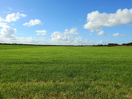 Meadow, Cloud, Grass, Landscape, sky, summer, nature, pasture HD wallpaper