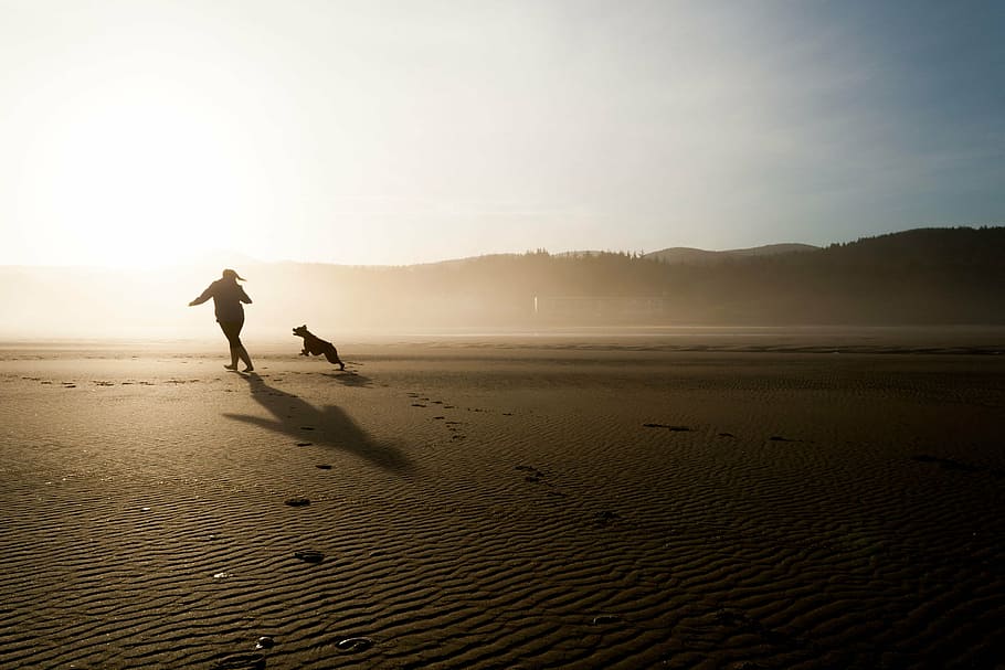 silhouette of woman and dog running on open field at daytime HD wallpaper