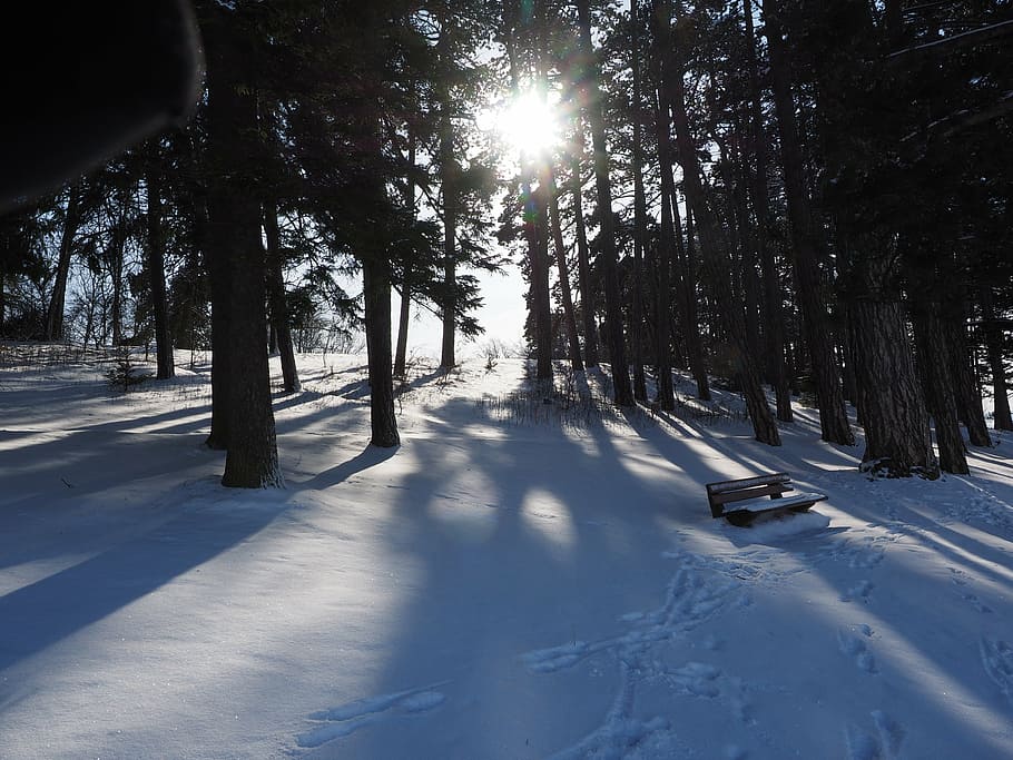 snow landscape, winter, sun, shadow, cold, snowfield, shadow play HD wallpaper