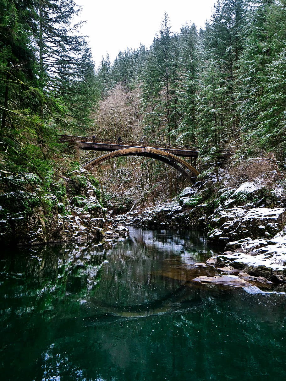 bridge between trees and lake at daytime, photography of brown wooden bridge across teal water during daytime HD wallpaper