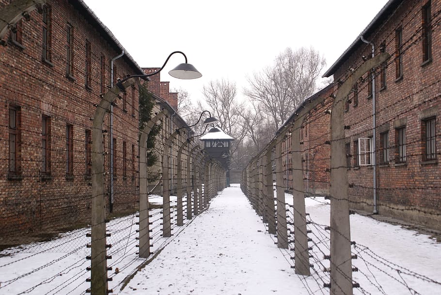 Auschwitz, Kz, Poland, Nazis, winter, snow, cold temperature, HD wallpaper