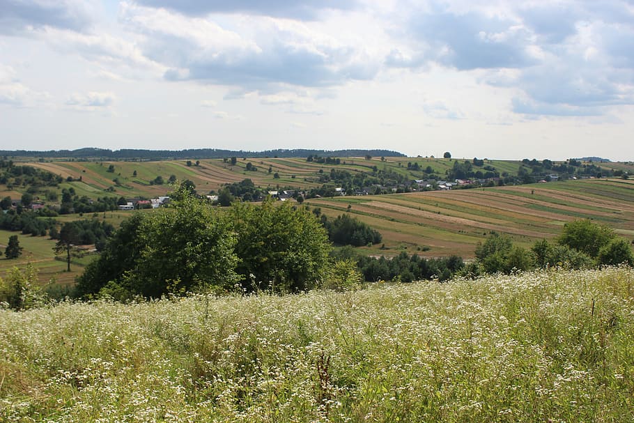 landscapes, cloud, go, nature, horizon, summer, himmel, green HD wallpaper