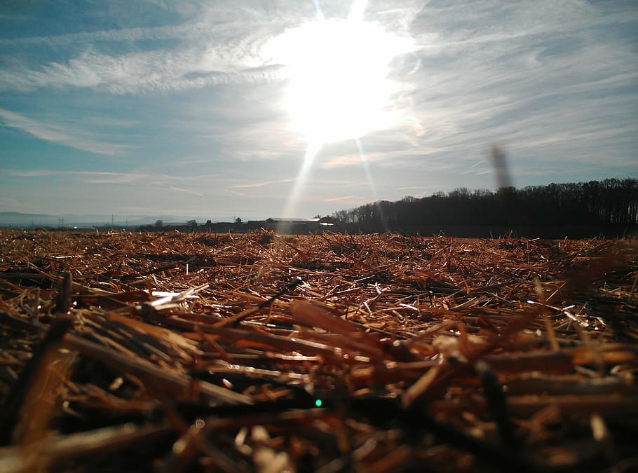 sun, field, straw, landscape, sky, sunlight, sunbeam, cloud - sky HD wallpaper