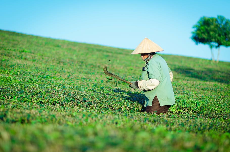 Cutting grass on online a hill