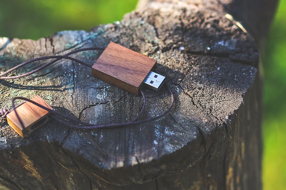 brown USB flash drive placed on green tree stump, pen, wood HD wallpaper
