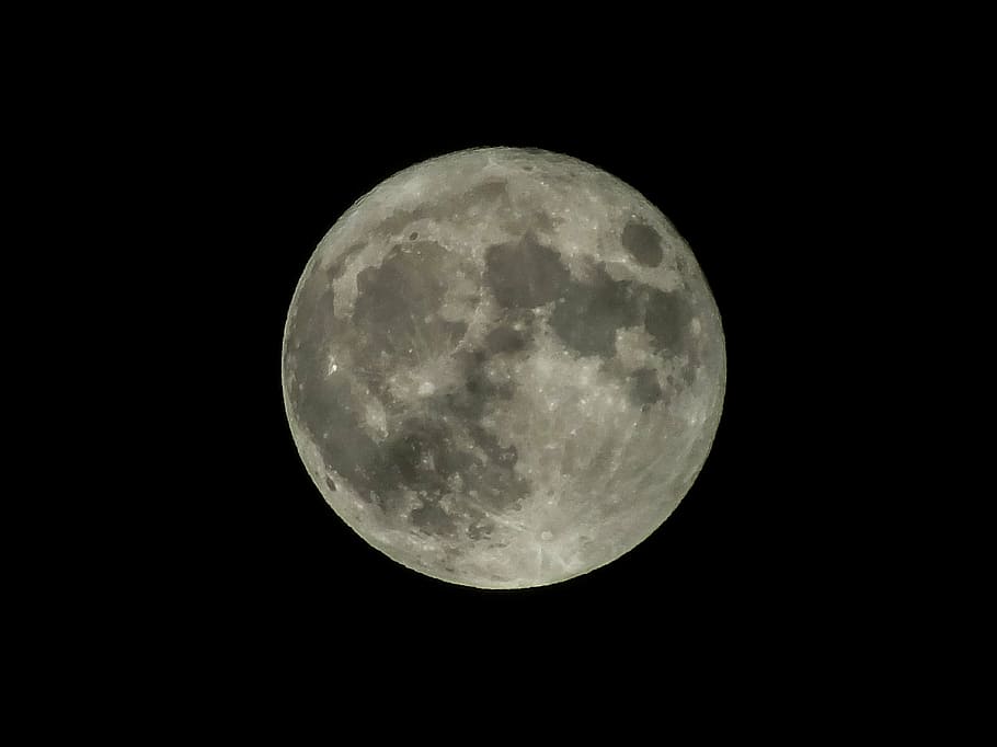 month, fullmoon, twilight, space, night, astronomy, sky, moon surface HD wallpaper