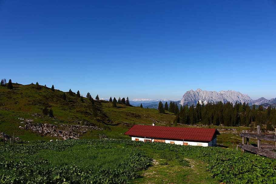 alm, hut, meadow, mountain, mountain landscape, mountain hut, HD wallpaper