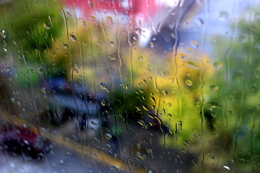 selective photography of rain drops, glass, window, autumn HD wallpaper