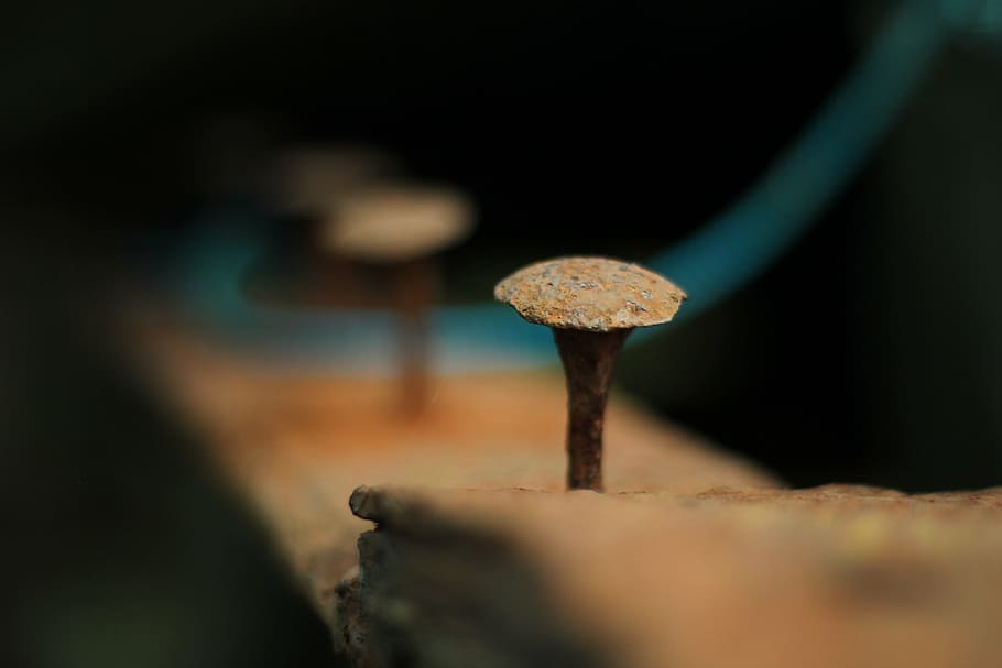 nail, rusty, rusted, metal, old, nail head, brown, weathered HD wallpaper