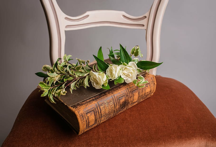 white rose flowers on brown book, chair, scripture, plant, leaf HD wallpaper